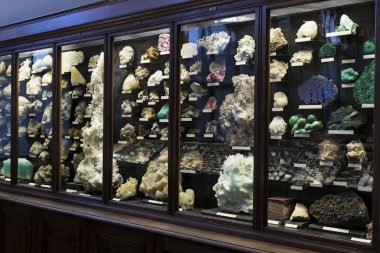 Sergiler ve sergi içinde Doğal Tarih Müzesi, Viyana. 