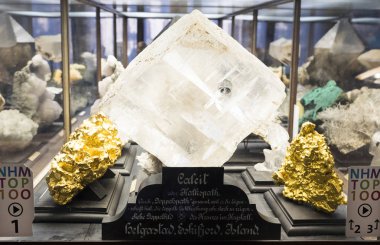 Sergiler ve sergi içinde Doğal Tarih Müzesi, Viyana. 