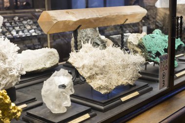 Sergiler ve sergi içinde Doğal Tarih Müzesi, Viyana. 