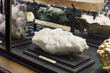 Sergiler ve sergi içinde Doğal Tarih Müzesi, Viyana. 