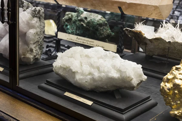 Sergiler ve sergi içinde Doğal Tarih Müzesi, Viyana. 