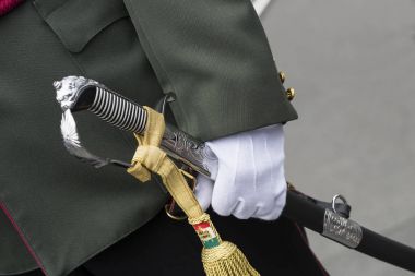 Aziz Istvan günün onuruna Parlamentosu girişine yakın Macar ordu askerleri tarafından Festival konuşma. 