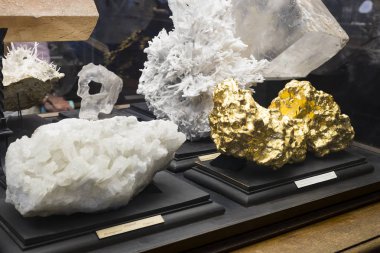  Sergiler ve sergi içinde Doğal Tarih Müzesi, Viyana. 