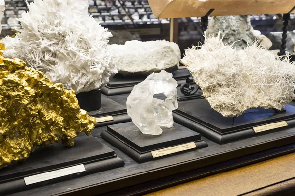  Sergiler ve sergi içinde Doğal Tarih Müzesi, Viyana. 