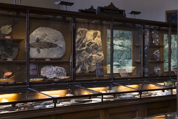  Sergiler ve sergi içinde Doğal Tarih Müzesi, Viyana. 