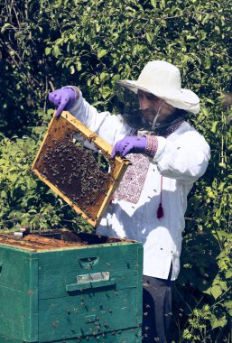 Bir adam bir arı kovanı İnşaat