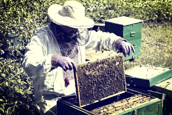 Ein Mann arbeitet in einem Bienenhaus — Stockfoto