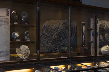 Sergiler ve sergi içinde Doğal Tarih Müzesi, Viyana. 