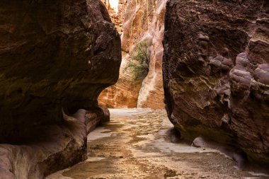 Eski rock city Petra Ürdün'de terk edilmiş.