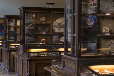  Sergiler ve sergi içinde Doğal Tarih Müzesi, Viyana. 