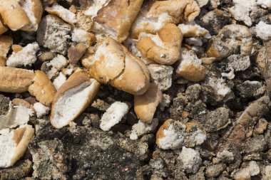 Bayat kuru eski ekmek