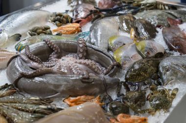 Arka plan taze deniz ürünleri