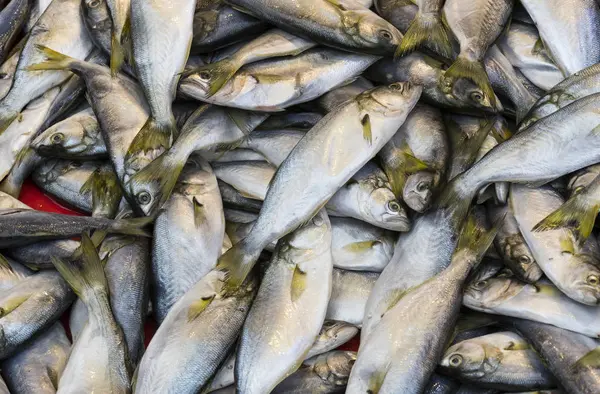 Arka plan taze küçük deniz balık