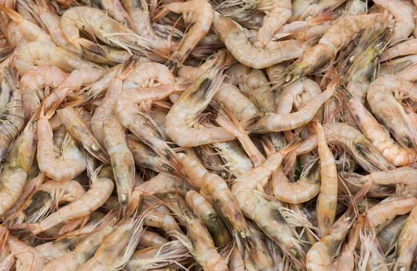 Raw delicious Shrimps — Stock Photo, Image