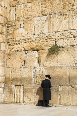 Jerusalem, İsrail - 22 Kasım 2017: hacılar dua, Yahudi halkının kutsal yer ve dünyadaki Hıristiyanların ibadet Merkezi ağlama duvarı