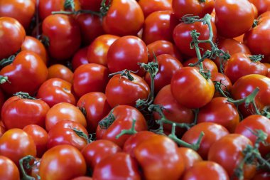 Arka plan Olgun Kiraz domates çeşitleri