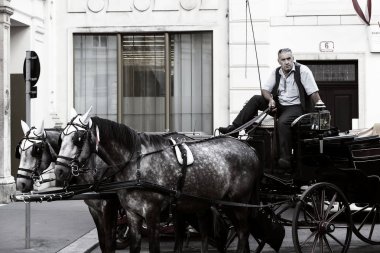 23 Ağustos 2017, Viyana, Avusturya: Viyana eski sokaklarında yürümeyi turistler için taksi ile geleneksel atlı arabaları. 