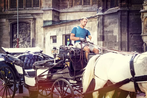 2017 维也纳 奥地利 传统马车与游客沿着古老的街道的维也纳室 — 图库照片