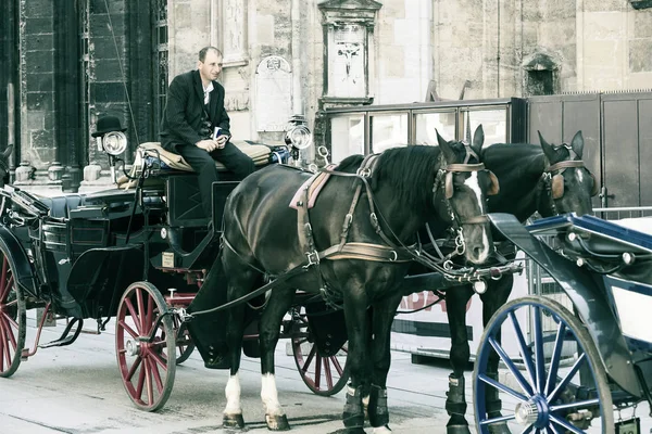 2017 维也纳 奥地利 传统马车与游客沿着古老的街道的维也纳室 — 图库照片