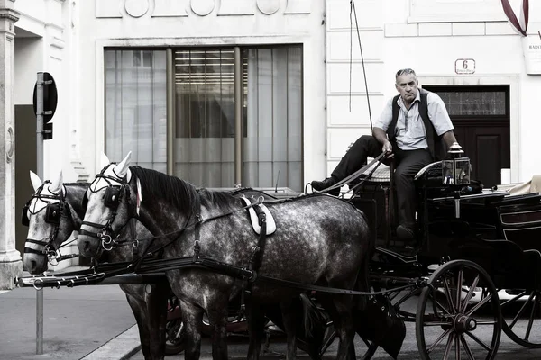 23 Ağustos 2017, Viyana, Avusturya: Viyana eski sokaklarında yürümeyi turistler için taksi ile geleneksel atlı arabaları. 