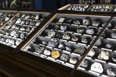 23 Ağustos 2017, Viyana, Avusturya: sergiler ve sergi içinde Doğal Tarih Müzesi, Viyana. 