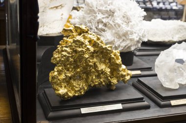 23 Ağustos 2017, Viyana, Avusturya: sergiler ve sergi içinde Doğal Tarih Müzesi, Viyana. 