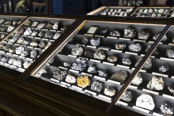 23 Ağustos 2017, Viyana, Avusturya: sergiler ve sergi içinde Doğal Tarih Müzesi, Viyana. 