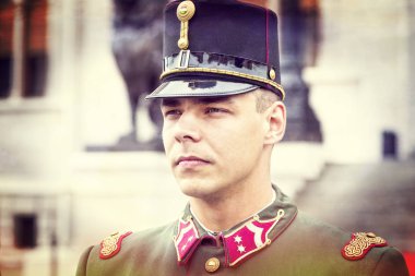 Hasır sepet içinde lavanta Çiçek demetleri