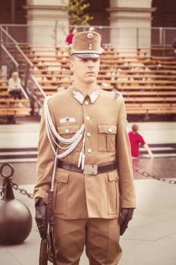 Hasır sepet içinde lavanta Çiçek demetleri