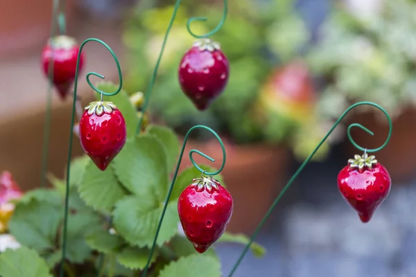 庭と植木鉢のインテリアを飾るために 伝統的なハンガリー セラミック花 — ストック写真