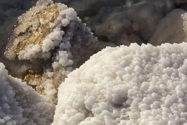 Mer Morte Dépôts Sel Pierres Cristaux Blancs — Photo