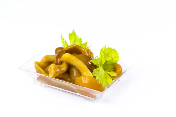 Salad Snack Marinated Mushrooms Plastic Dish — Stock Photo, Image