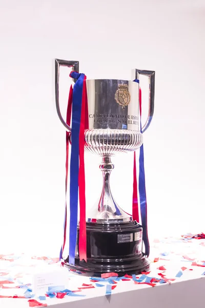 Barcelona Španělsko Ledna 2018 Muzeum Trofeje Cups Týmu Barcelona Camp — Stock fotografie