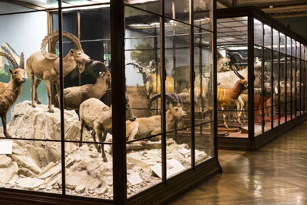 23 Ağustos 2017, Viyana, Avusturya: sergiler ve sergi içinde Doğal Tarih Müzesi, Viyana. 