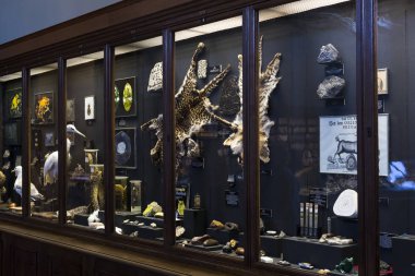 23 Ağustos 2017, Viyana, Avusturya: sergiler ve sergi içinde Doğal Tarih Müzesi, Viyana. 