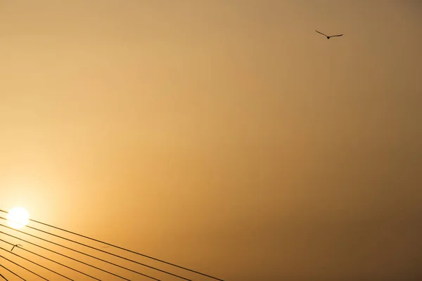 Struny Kabelů Mostu Pozadí Zapadajícího Jižního Slunce Nad Istanbulem — Stock fotografie