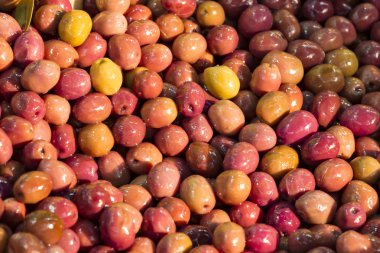 doğu pazarında zeytin arka plan yakın çekim