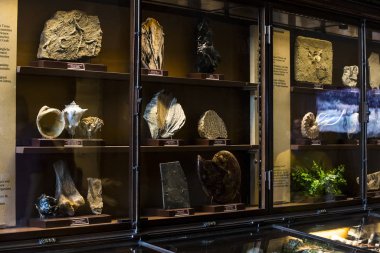 3 Ağustos 2017, Viyana, Avusturya: Doğal Tarih Müzesi, Viyana. 