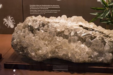 3 Ağustos 2017, Viyana, Avusturya: Doğal Tarih Müzesi, Viyana. 