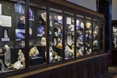 3 Ağustos 2017, Viyana, Avusturya: Doğal Tarih Müzesi, Viyana. 