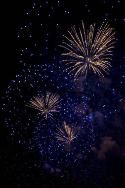 Bright fireworks gece gökyüzü arka plan üzerinde renkli 