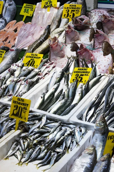 Fresh fish at a market in Istanbul on the banks of the Golden Horn. Close-up shot.