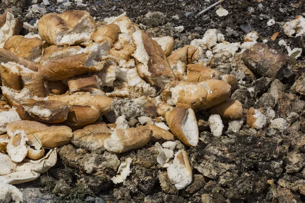 Des Mocassins Vieux Pain Baguette Sont Jetés Dans Une Décharge — Photo