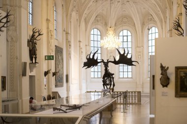 MUNİK, Almanya - 24 Kasım 2018 Hayvanların, boynuzların ve balık avlama araçlarının tarihinin sergilenmesi bir avcılık ve balıkçılık müzesidir.. 