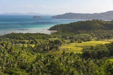 Filipinler 'deki Palawan adasının manzarası ve kıyı bölgesi.