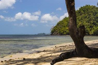 Filipinler 'deki Palawan adasının manzarası ve kıyı bölgesi.