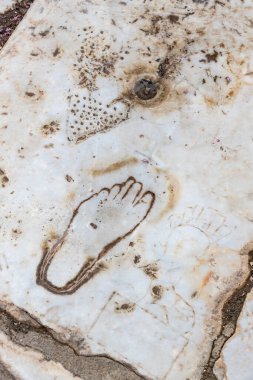 Antik kalıntıları şehir Efes Celsus Kütüphanesi Binası, amfitiyatro tapınaklar ve sütunları antika. Unesco Dünya Mirası listesi için aday 
