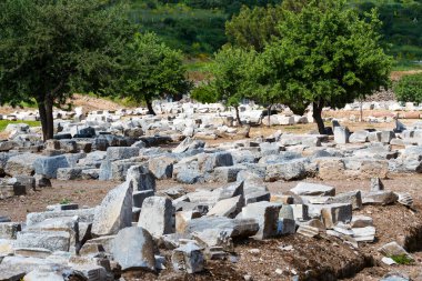 Antik kalıntıları şehir Efes Celsus Kütüphanesi Binası, amfitiyatro tapınaklar ve sütunları antika. Unesco Dünya Mirası listesi için aday 