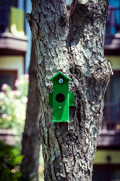 Wooden Birdhouse Tree Trunk Park – stockfoto