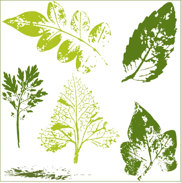 Vector ramas y hojas. Elementos florales hechos a mano. Ilustraciones botánicas vintage. — Vector de stock